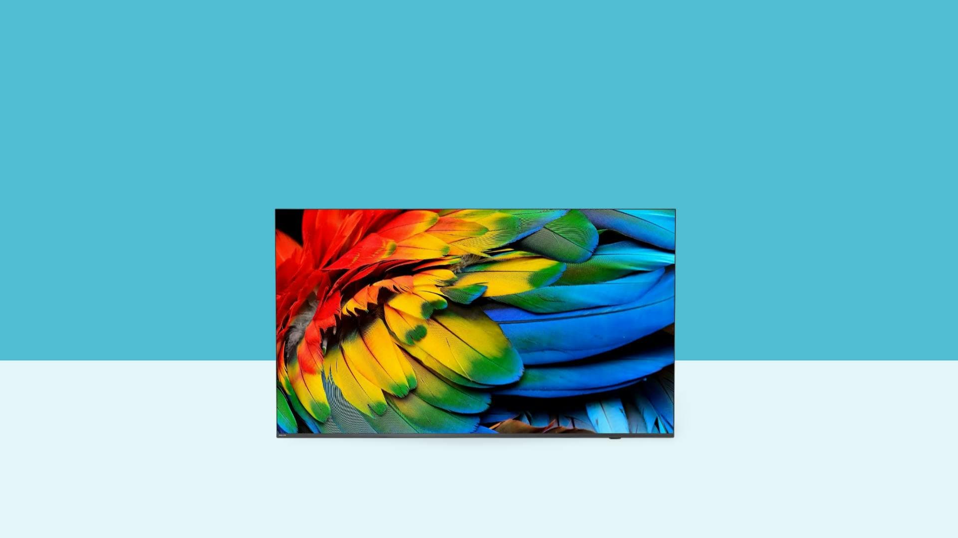 Philips 58HFL6214 MediaSuite Hospitality TV